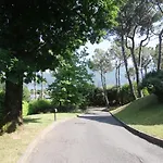 Naboo Tremezzo